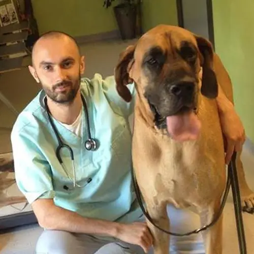 Maciej Staszczyk - zdjęcie